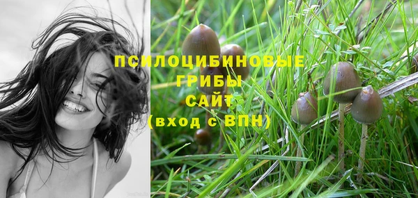 круглые Михайловка