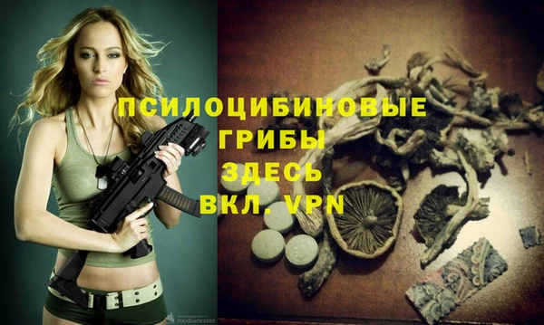 хмурый Михайлов
