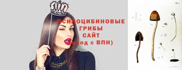 хмурый Михайлов