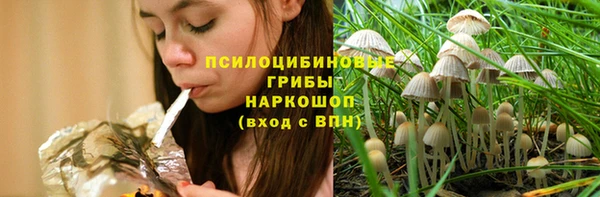 эйфоретик Михайловск